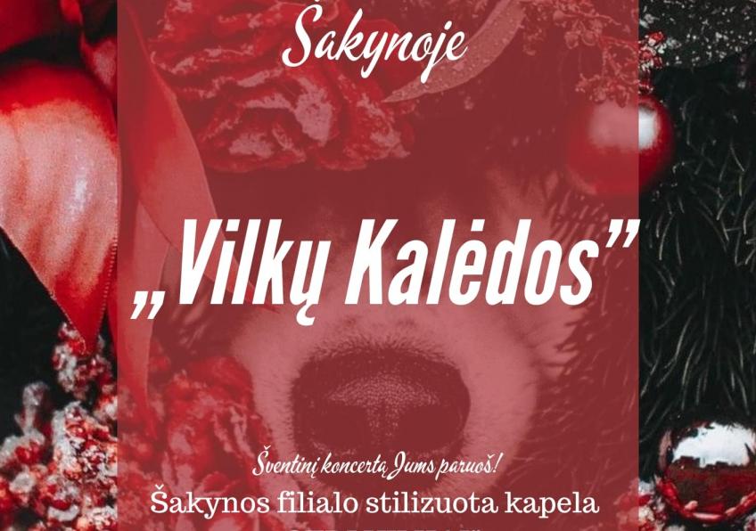 Vilkų Kalėdos Šakynoje 